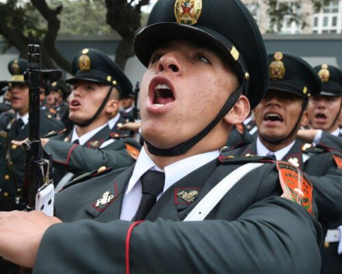 asimilacion pnp