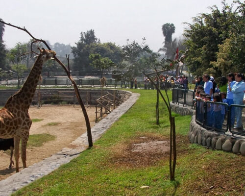 Parque de las Leyendas de Huachipa