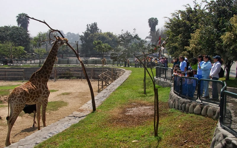 Parque de las Leyendas de Huachipa