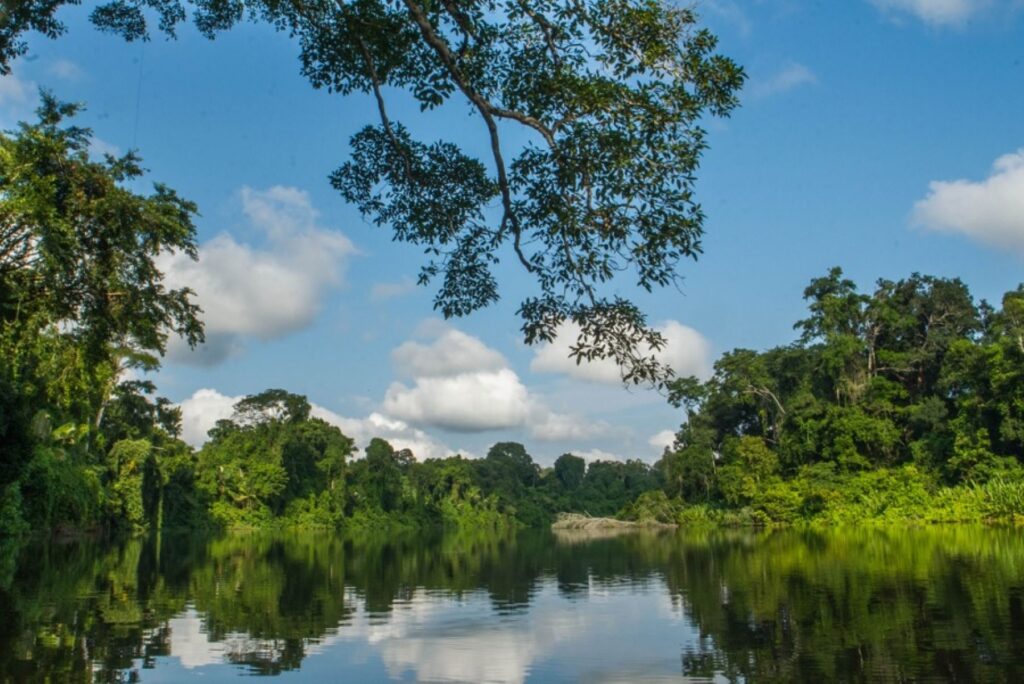 Áreas naturales protegidas del Perú